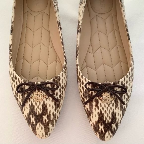 Coach Annabel Snakeskin Pointed Toe Ballet Flats - Picture 7 of 16